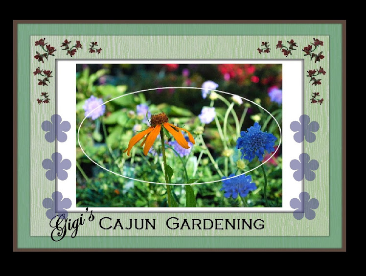 Cajun Gardening