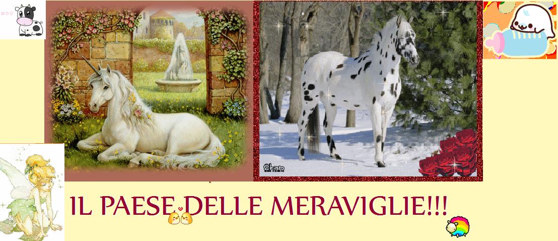 Il paese delle meraviglie