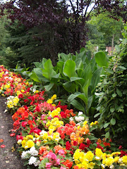 Blumen Garten