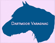 Poney Dartmoor Varagnac