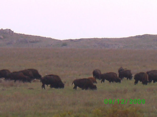 Us in Oklahoma