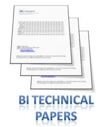 BI Technical Papers