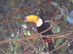 Belezas naturais da região.