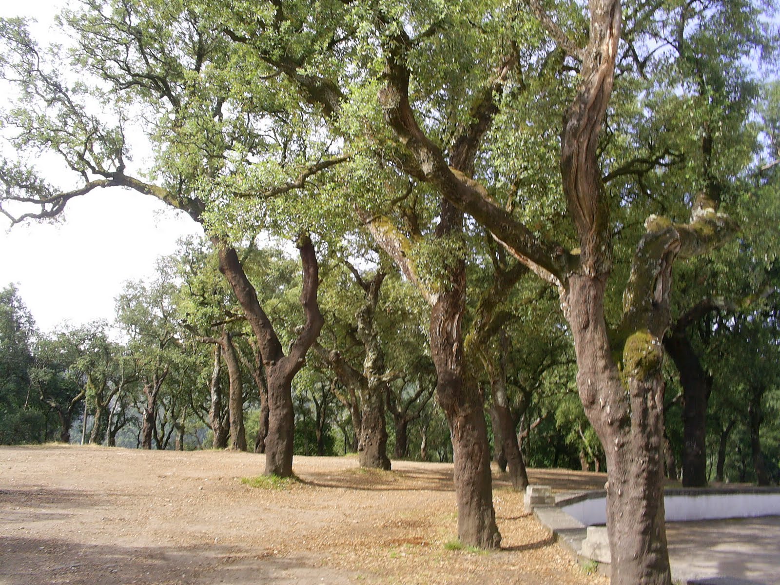 [S4020001.JPG]