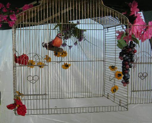 [bird2.bmp]
