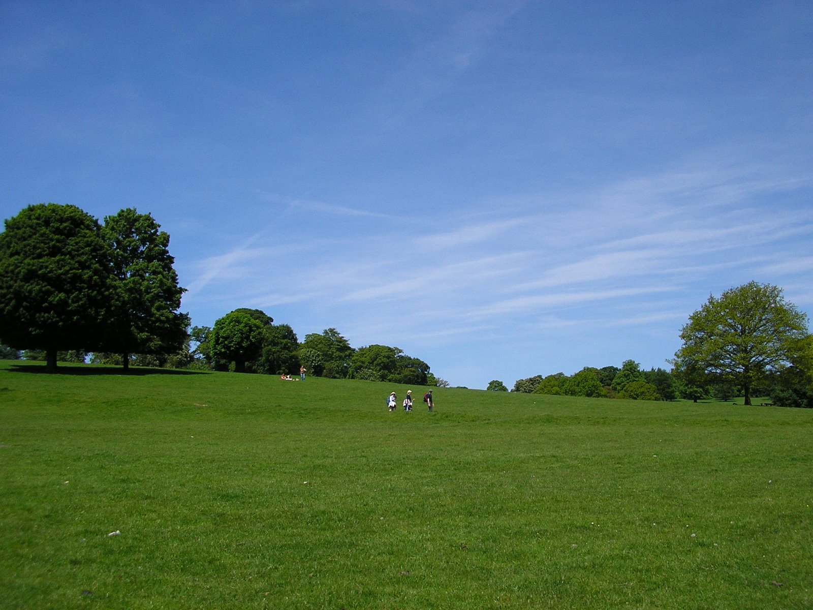 [P5242273.JPG]