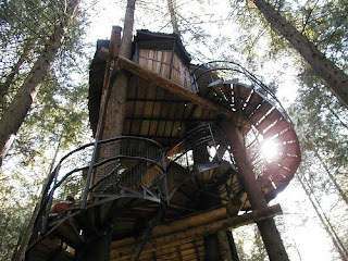 Have You Thought About Taking a Holiday In Tree House Accommodation?