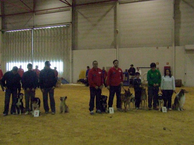 [DSCF0917.JPG]
