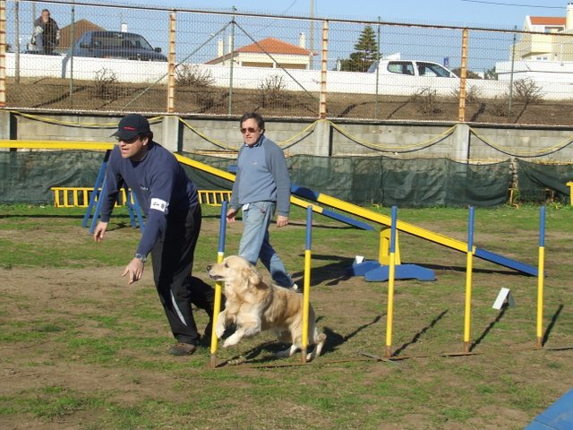 [DSCF1205.JPG]