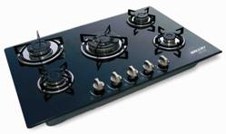 [cooktop.jpg]