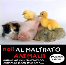 Basta de maltratarlos!!!