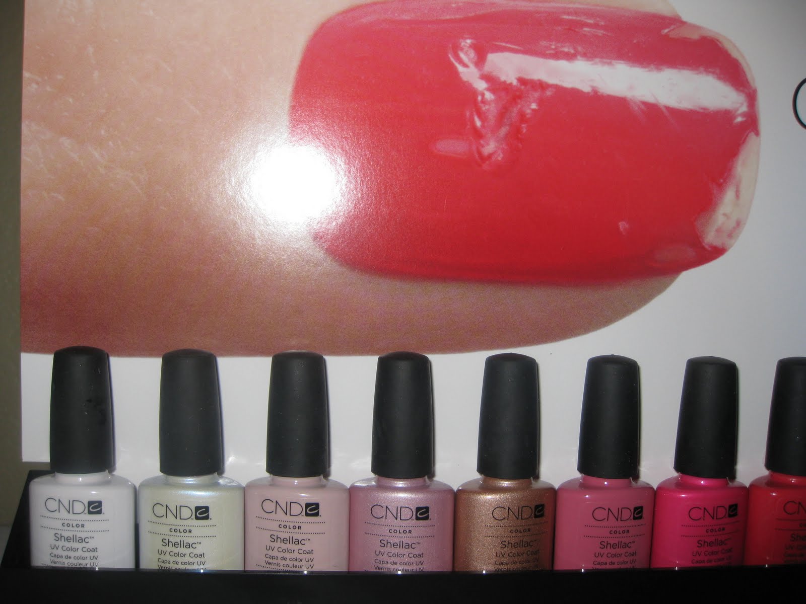 What is Shellac??