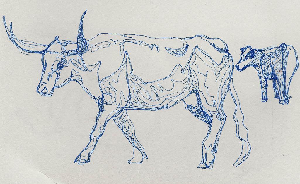 Sketches Of Cows