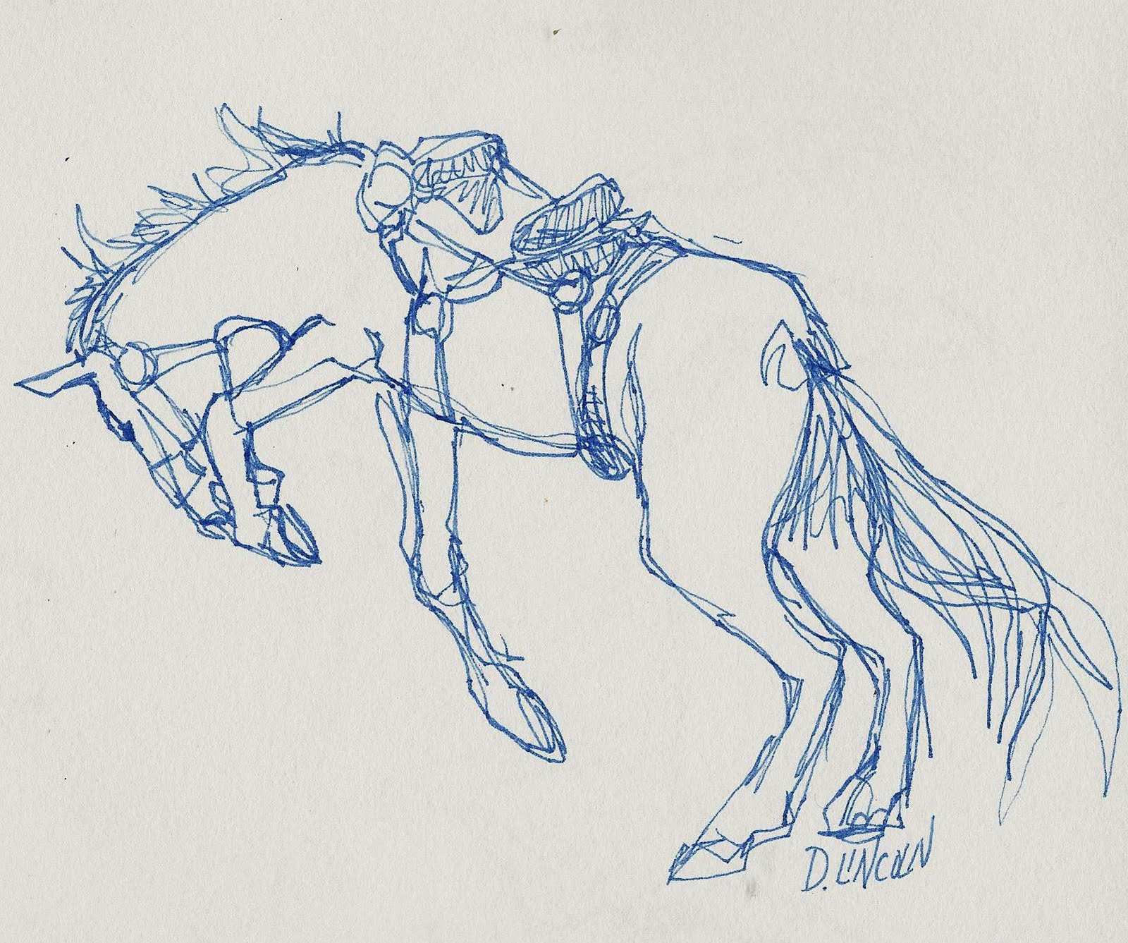 sketches wild horse bucking bronco continuous line drawing