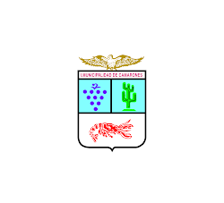 I. Municipalidad de Camarones