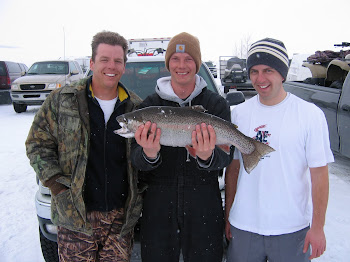 7 lb Strawberry Rainbow