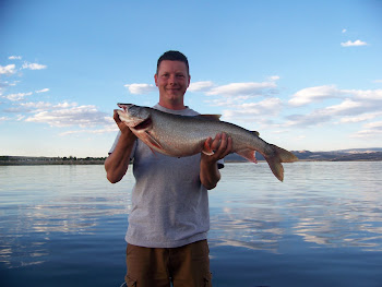 13 lb Flaming Gorge Lake Trout