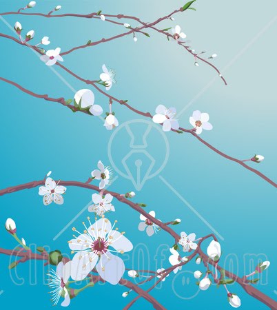 cherry tree branch silhouette. cherry tree branches. cherry tree branch silhouette.