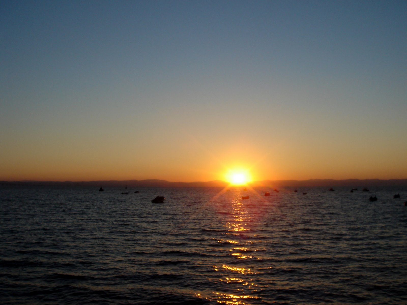 [DSC00471.JPG]