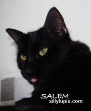 salem