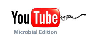 My microbiology playlist at YouTube My microbiology playlist at YouTube