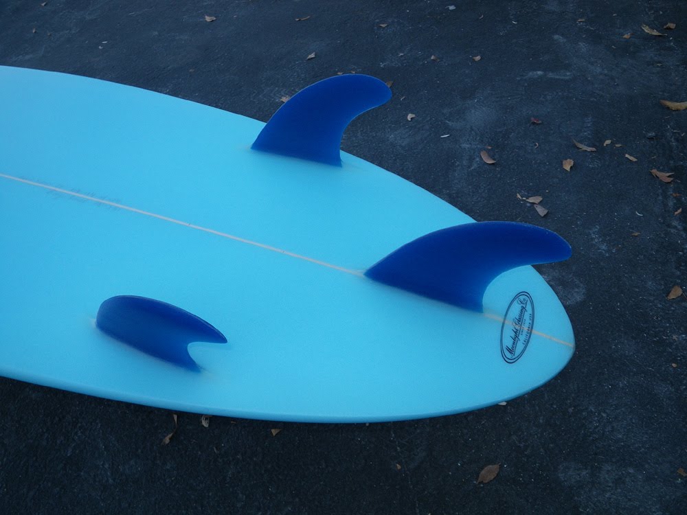 [blue_fins_2.jpg]
