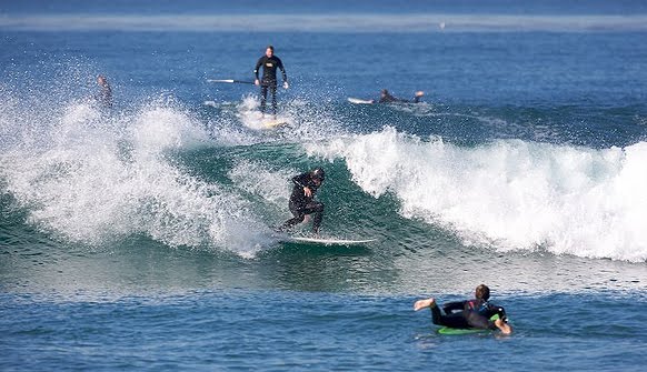 [Justin_cutback_Tomo_slide.jpg]