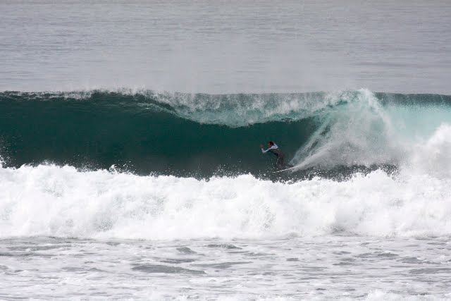 [taylor_knox_pulling_in_swamis.jpg]