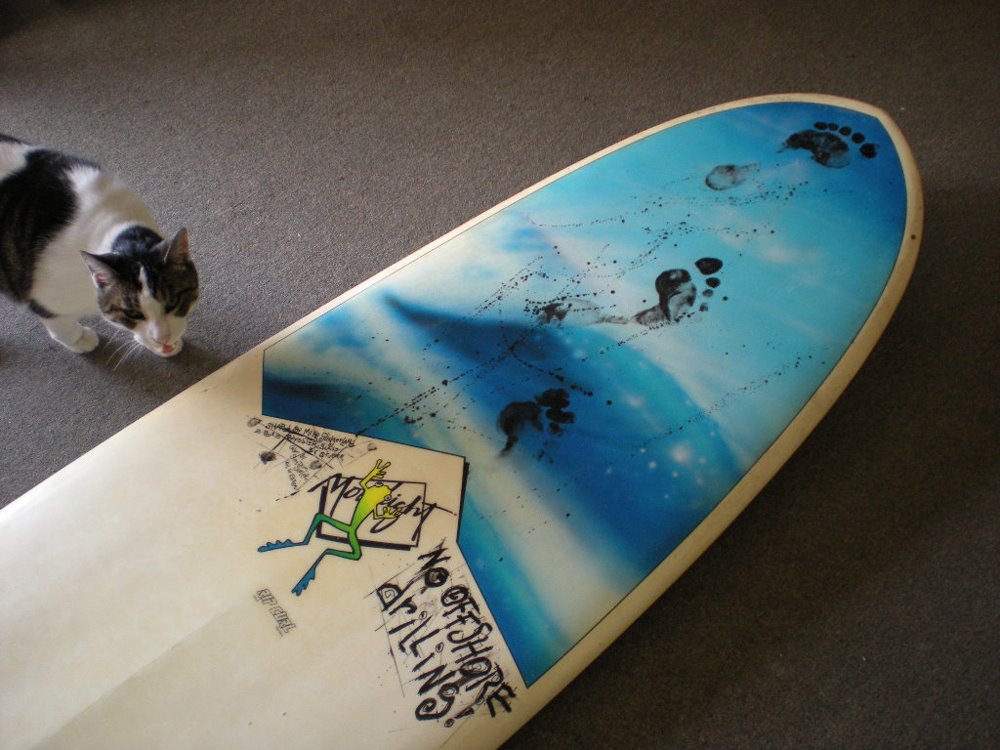 [moondoggie_airbrush.jpg]