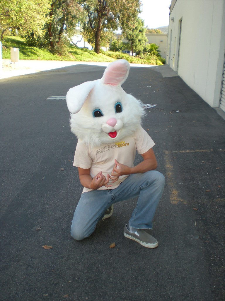 [f-bunny.JPG]