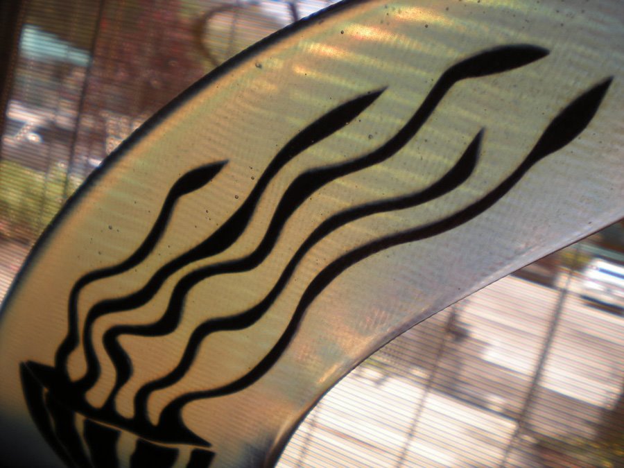 [jelly_fish_fin.jpg]