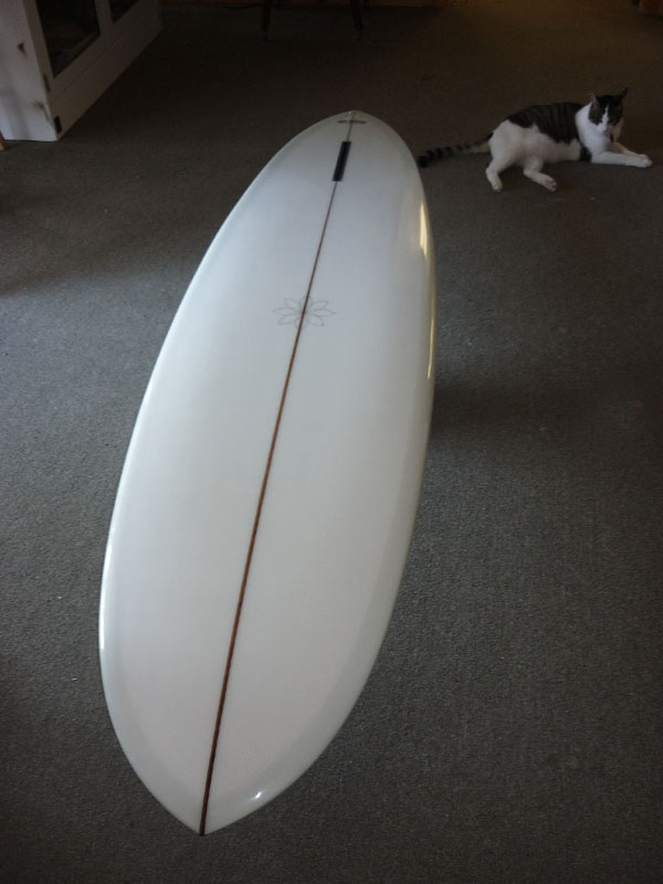 [moonkitty_surfboard.jpg]