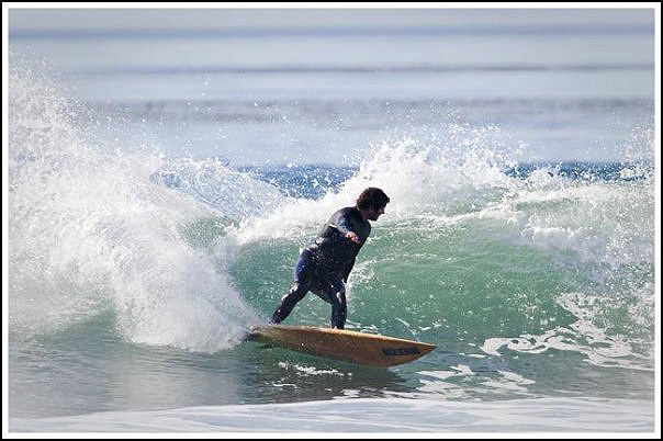 [storrs_cutback_3.jpg]