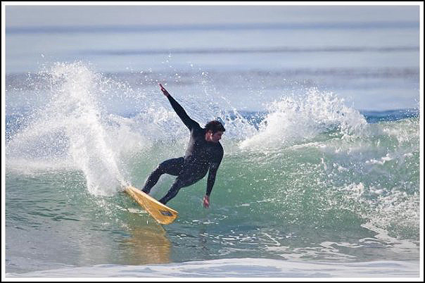 [storrs_cutback_2.jpg]