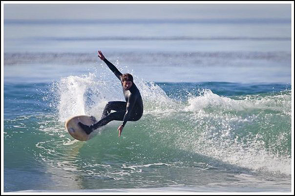 [storrs_cutback_1.jpg]