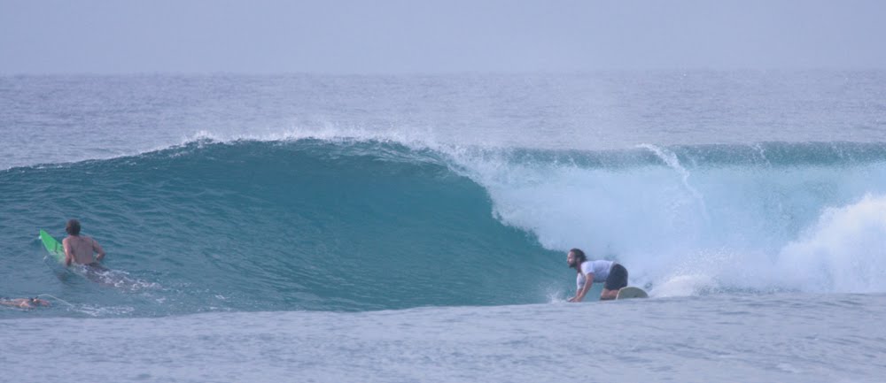 [kevin_arnold_surfing.jpg]