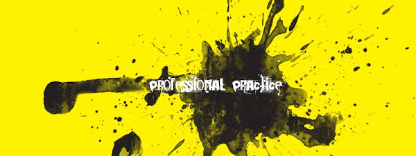 Professional Practice