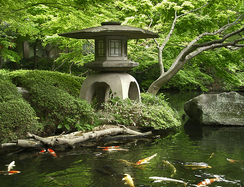 japanese+water+garden+design.jpg