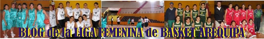 LIGA FEMENINA BASKET AREQUIPA