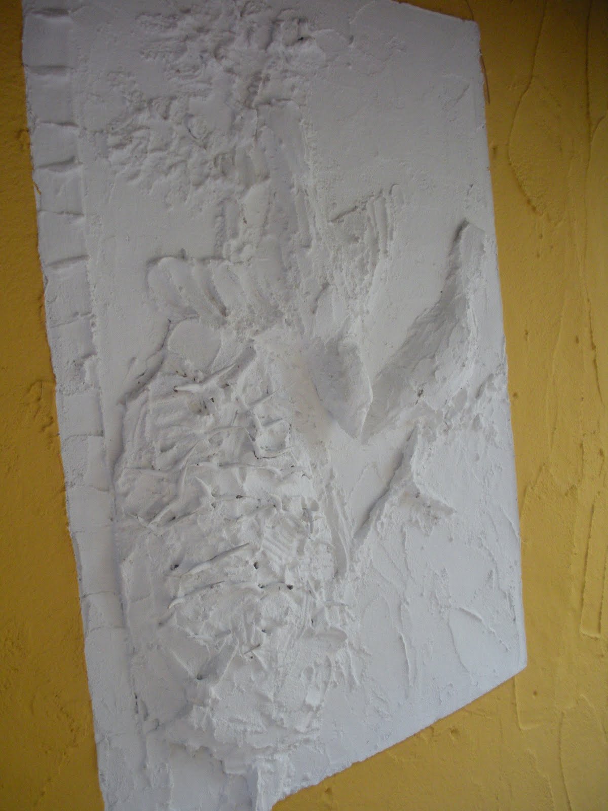 [DSCN3473.JPG]