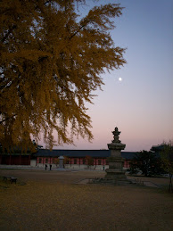 Autumn Full Moon View