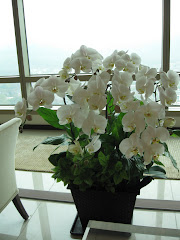 Beautiful Birthday Orchids