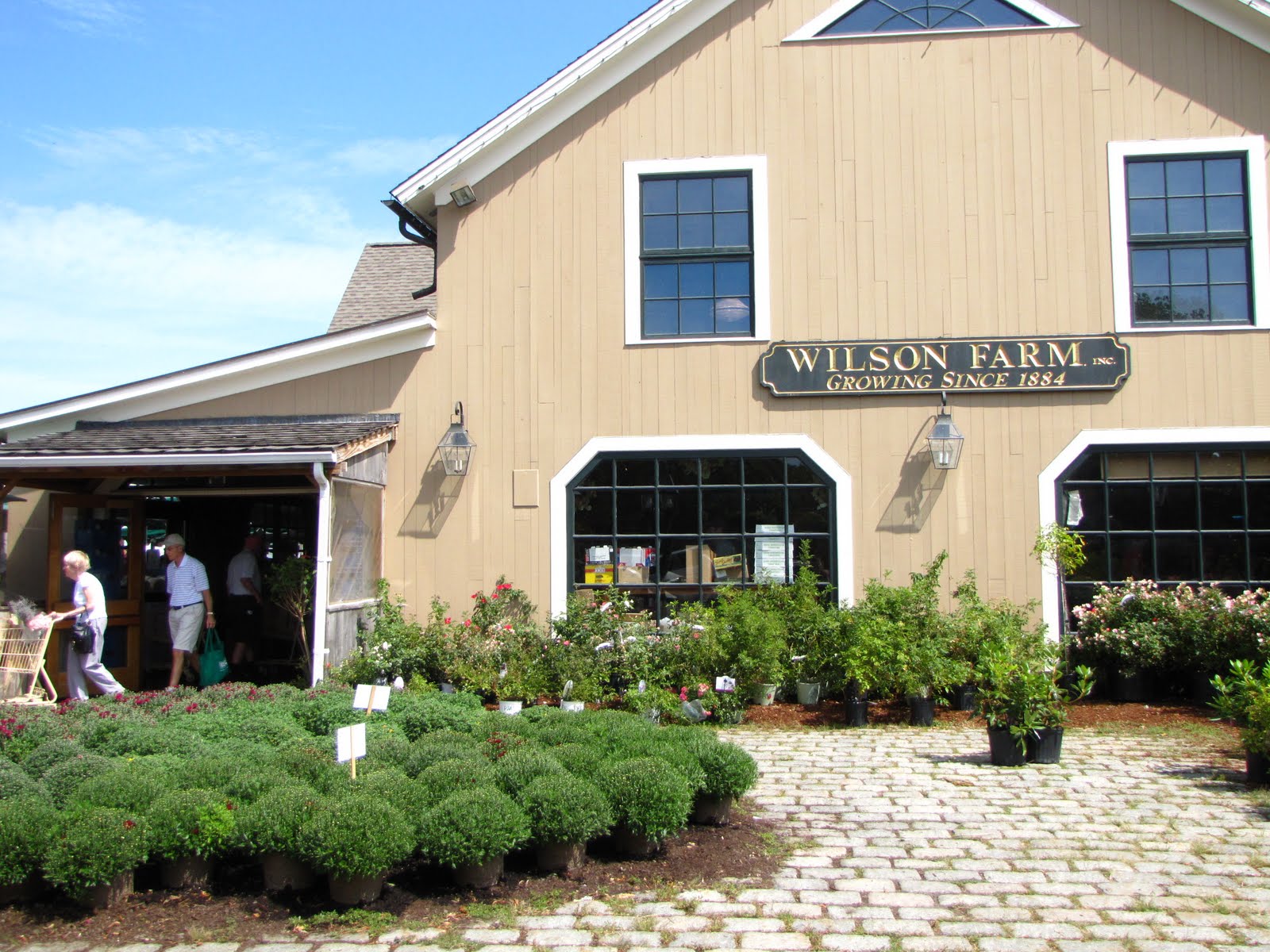 A Boston Food Diary Locally Featured Wilson Farm, Lexington, MA