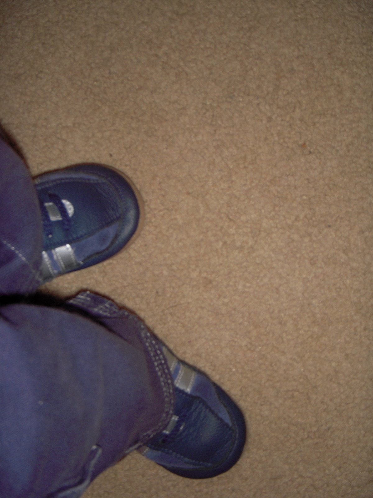 [DSCN0695.JPG]
