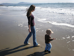 Adventures at the Beach