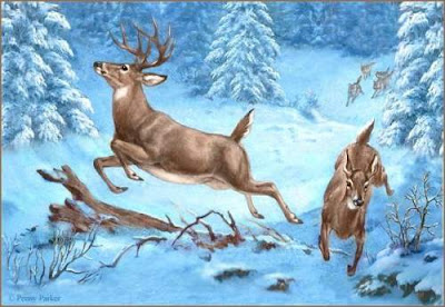 لوحات روعه حلوه مووووووووووووووووت InHotPursuit.jpg