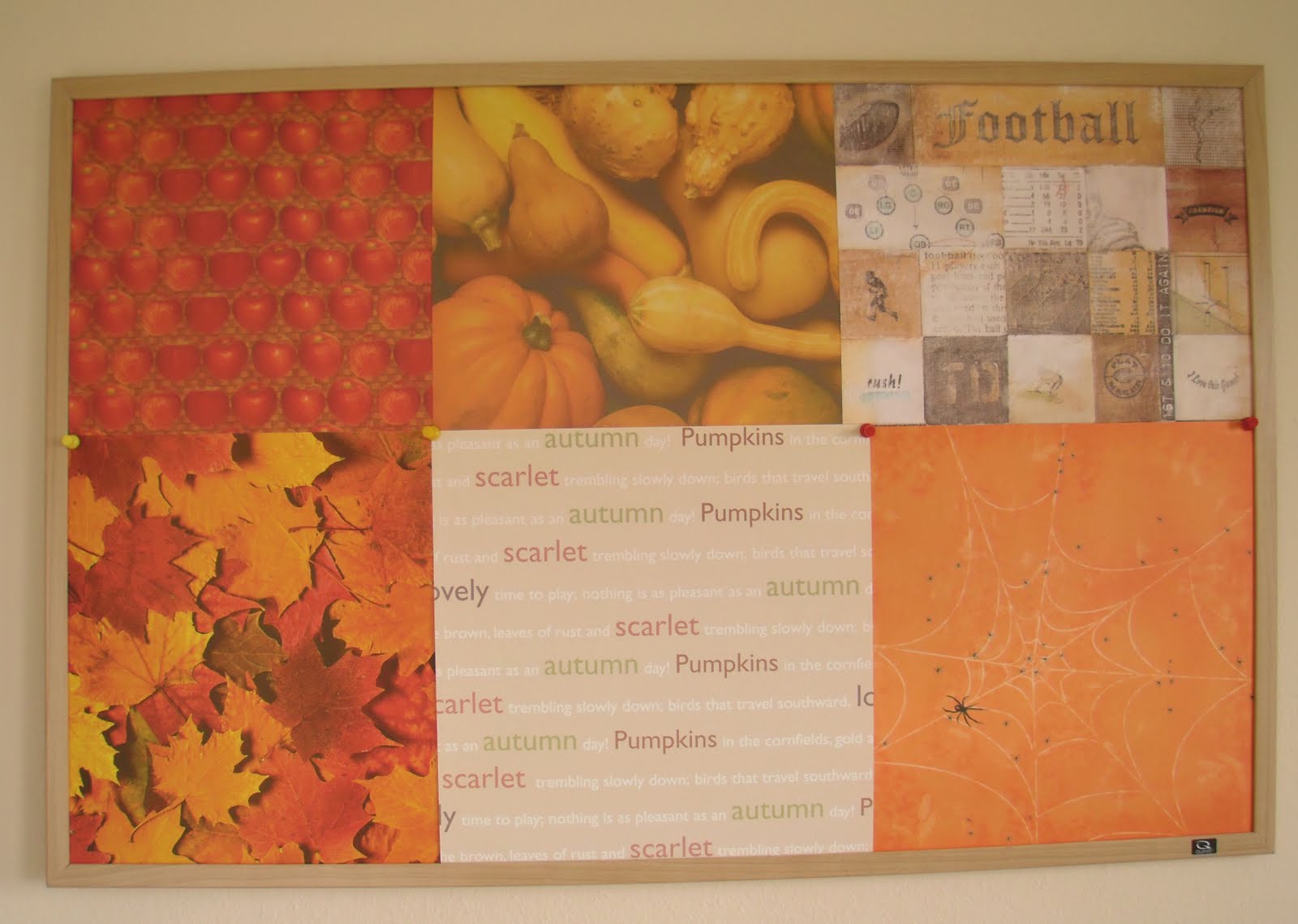 [20090919_0017.JPG]