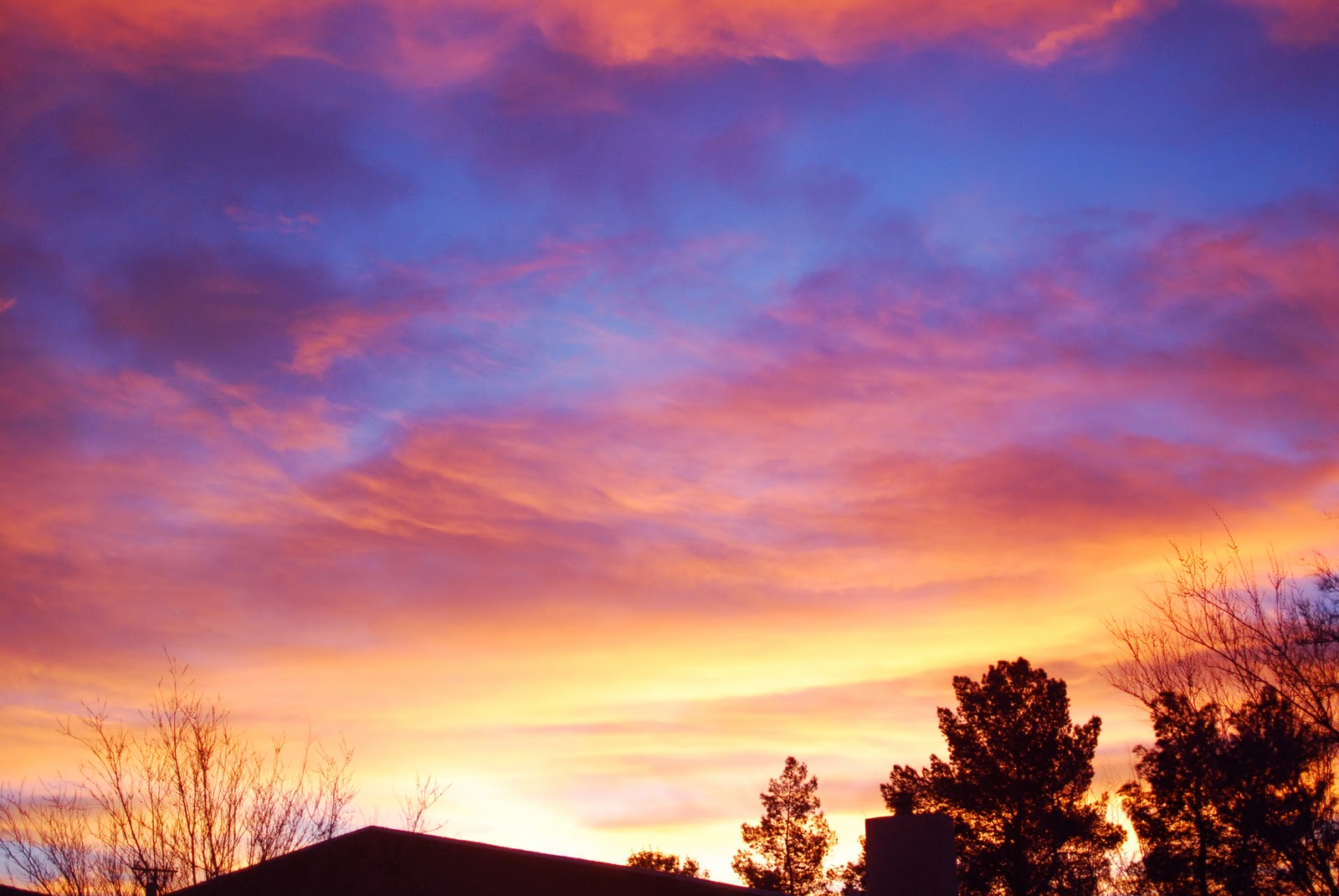 mary claire roman photography apple valley