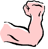 Bicep Muscle Man Clip Art