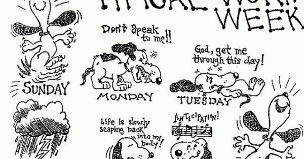 typical work week everything matters today typical work week